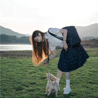 三只流浪狗