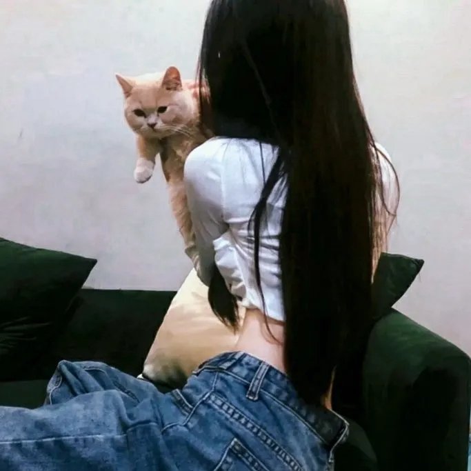 小尼莫